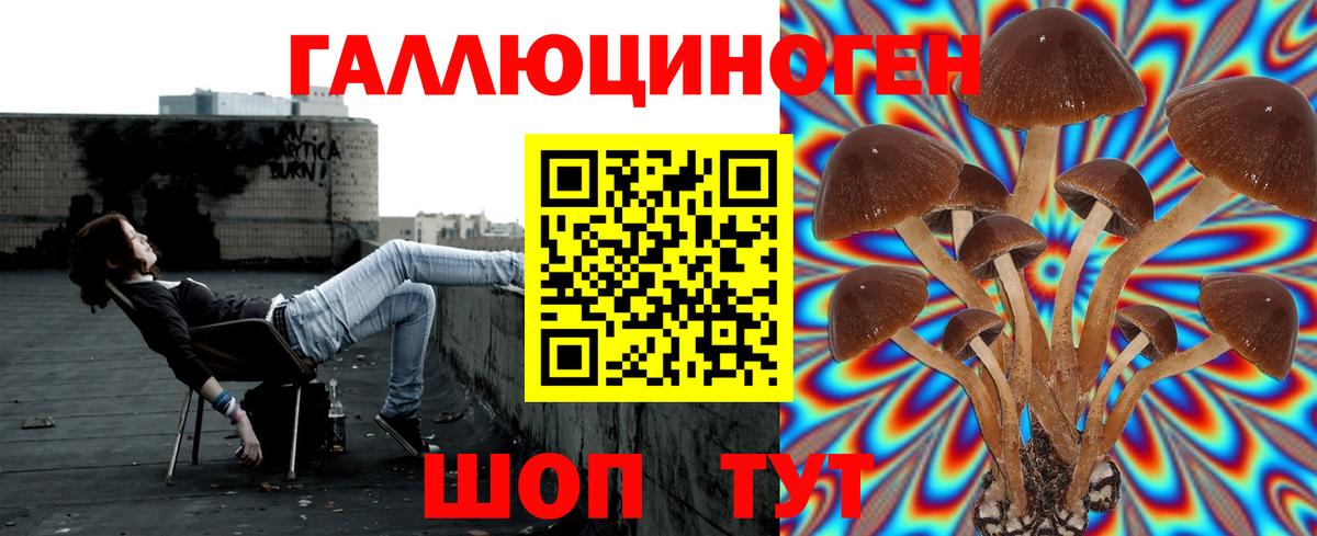 Псилоцибиновые грибы MAGIC MUSHROOMS  где купить наркоту  Мытищи  Вход с VPN  Псилоцибиновые грибы мухоморы 